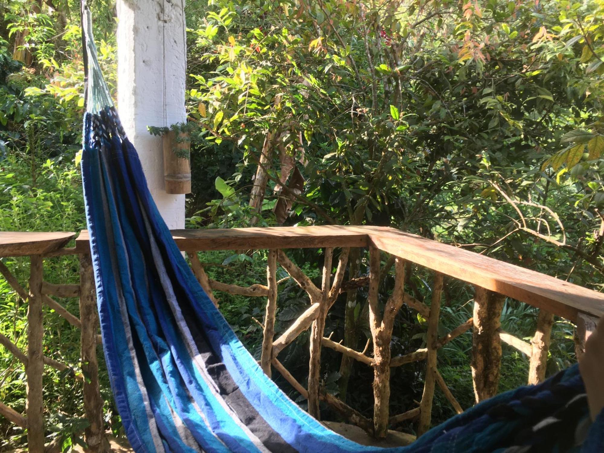 Finca Flora Del Rio, Habitacion Las Orquideas Pijao Екстериор снимка